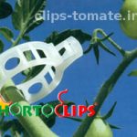 tomato-clip