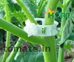 clips-para-tutoramineto-y-soporte-de-cultivos-de-tomate-hortoclips