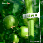 clips-tomate.in-7